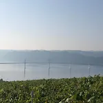 Διαμέρισμα Fig Tree