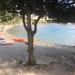 Διαμέρισμα Fig Tree *