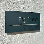 Fig Tree