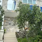 Fig Tree Komarna