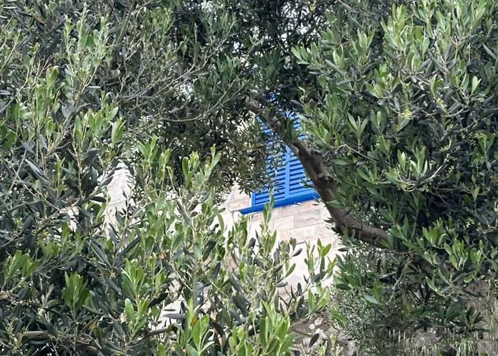 Διαμέρισμα Fig Tree Komarna