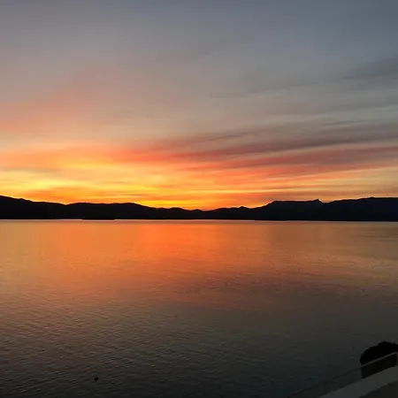 Daire Fig Tree Komarna