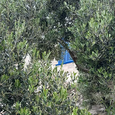 شقة Fig Tree كومارنا