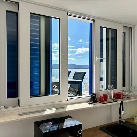 Daire Fig Tree Komarna