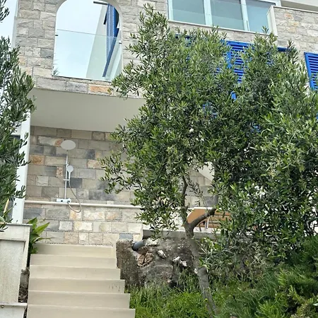 Fig Tree كومارنا