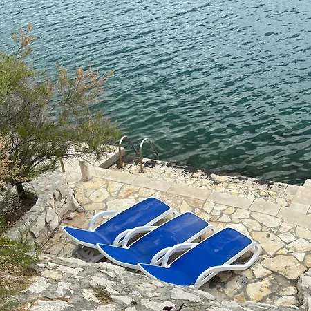 Daire Fig Tree Komarna